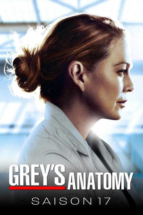 Jaquette Grey's Anatomy