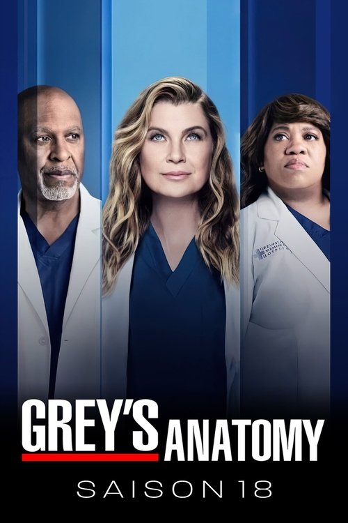 Jaquette Grey's Anatomy