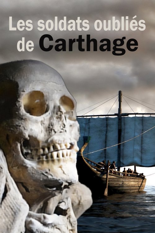 Jaquette Les soldats oubliés de Carthage