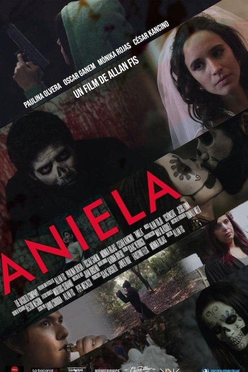 Jaquette Aniela