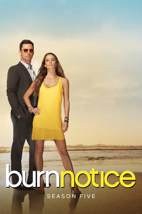 Jaquette Burn Notice