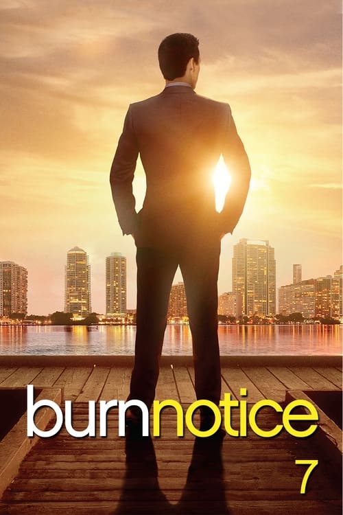 Jaquette Burn Notice