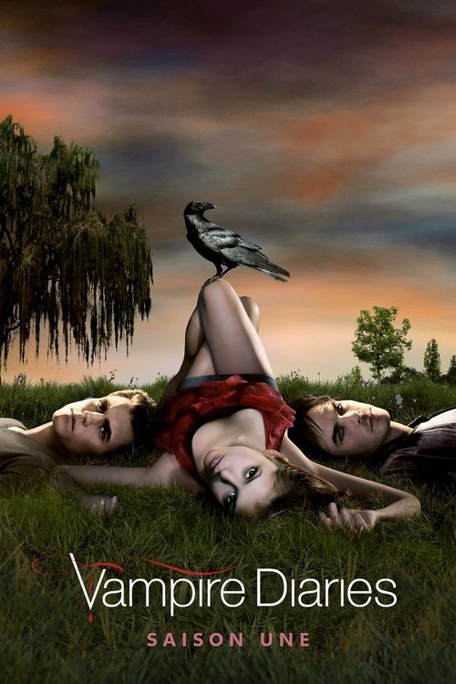 Jaquette Vampire Diaries
