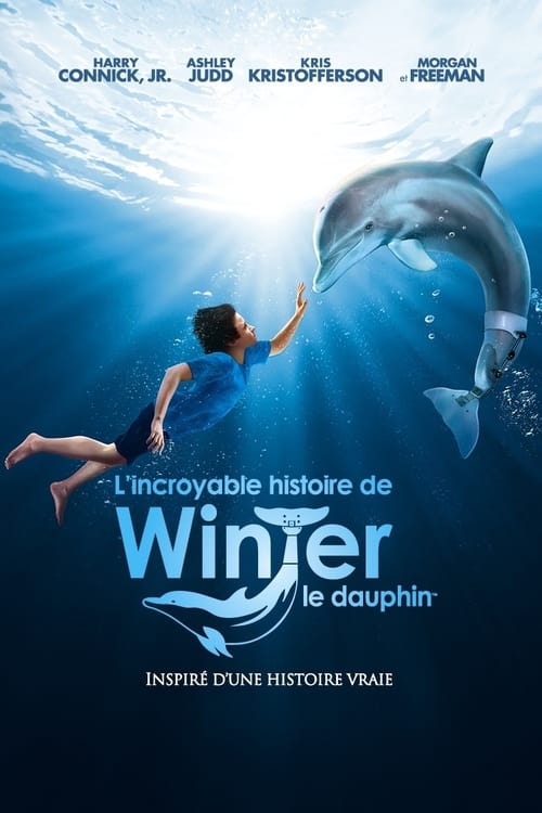 Jaquette L'incroyable histoire de Winter le dauphin