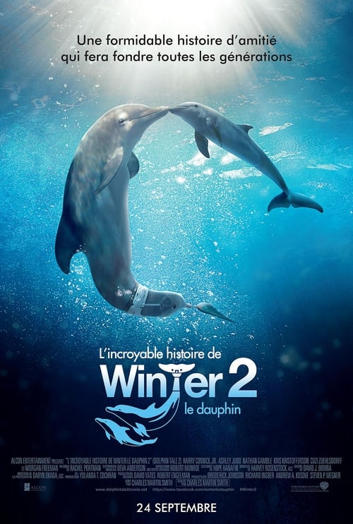 Jaquette L'incroyable histoire de Winter le dauphin 2