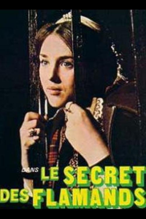 Jaquette Le Secret des Flamands
