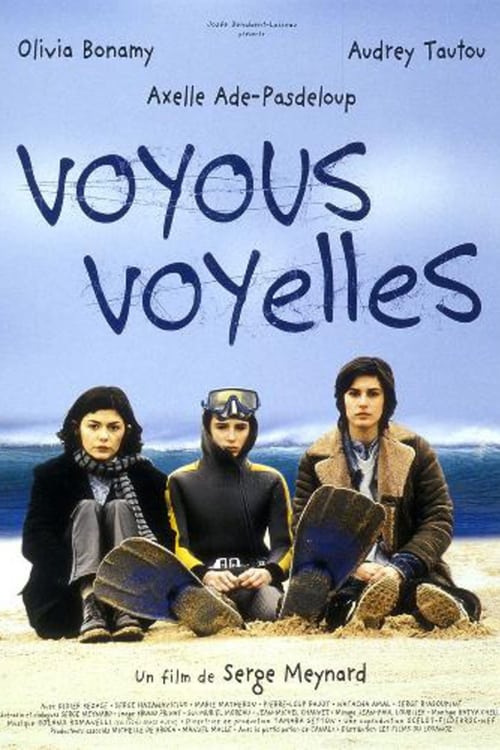 Jaquette Voyous voyelles