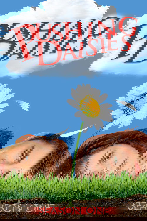 Jaquette Pushing Daisies