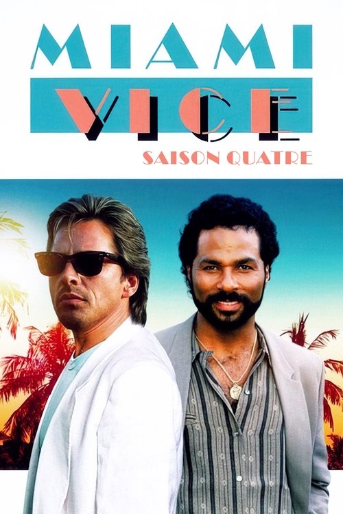 Jaquette Deux flics a Miami