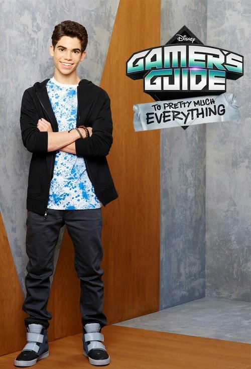 Jaquette Gamer's Guide to Pretty Much Everything