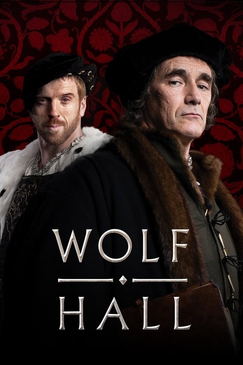 Jaquette Dans l'ombre des Tudors
