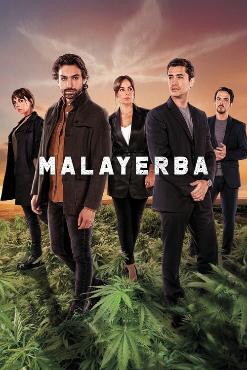 Jaquette MalaYerba