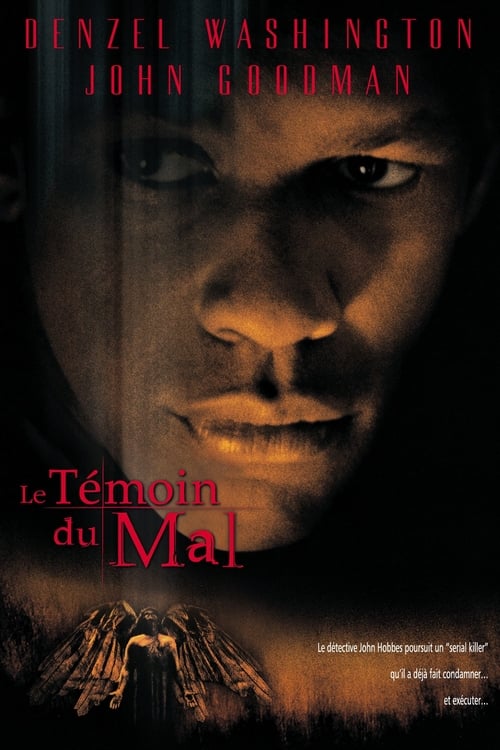 Jaquette Le Témoin du mal