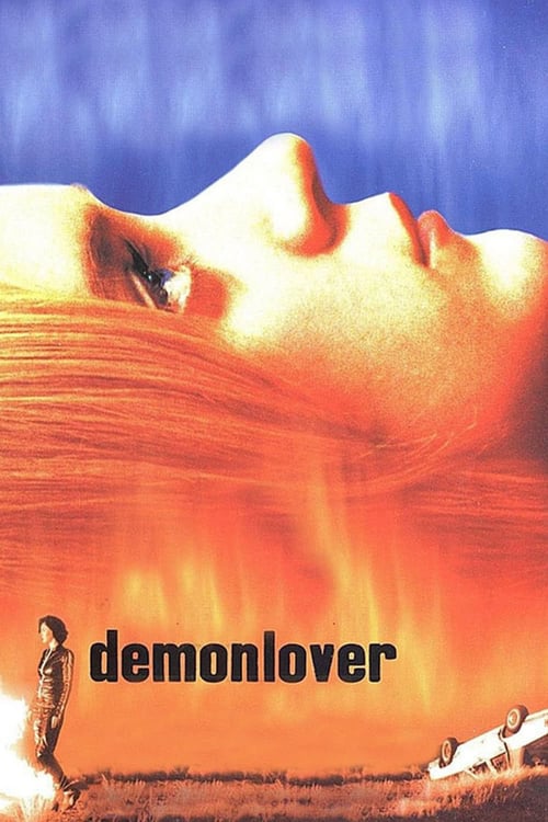 Jaquette Demonlover