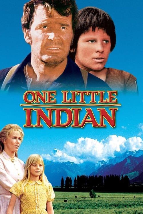 Jaquette Un petit Indien
