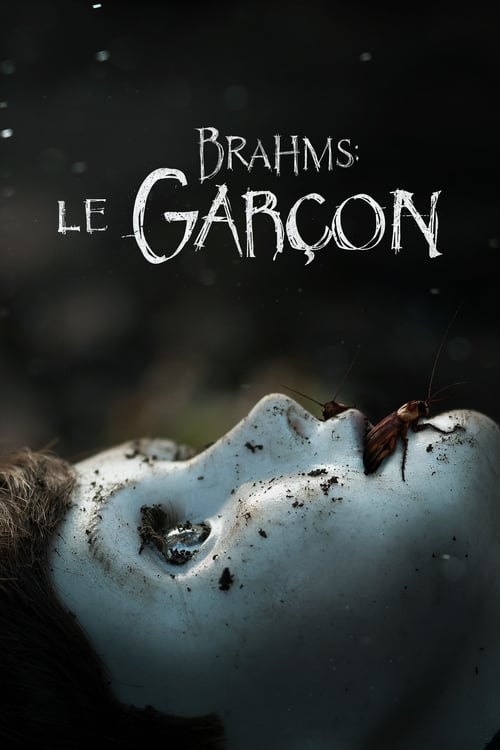 Jaquette The Boy : La malédiction de Brahms