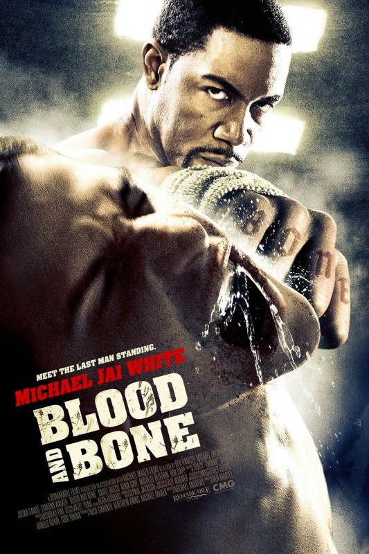 Jaquette Blood and Bone