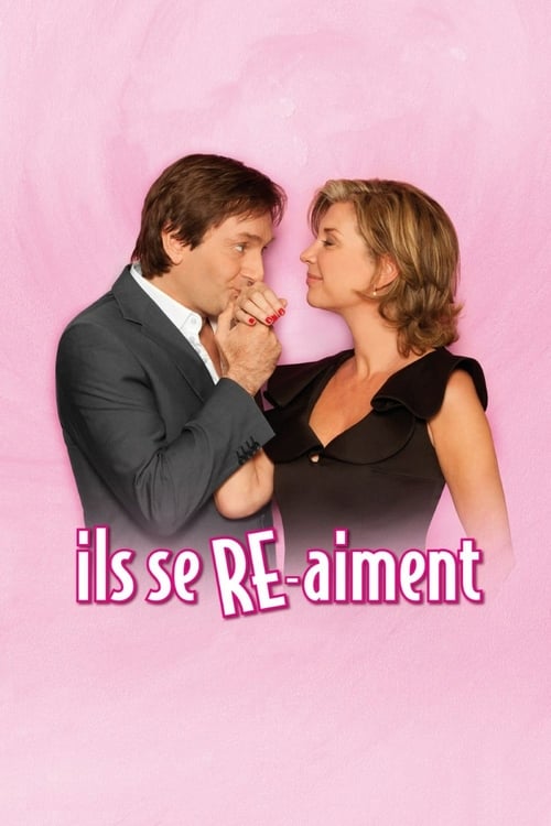 Jaquette Laroque Palmade - Ils se RE-aiment