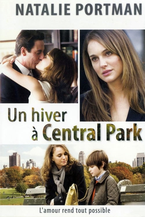 Jaquette Un hiver à Central Park