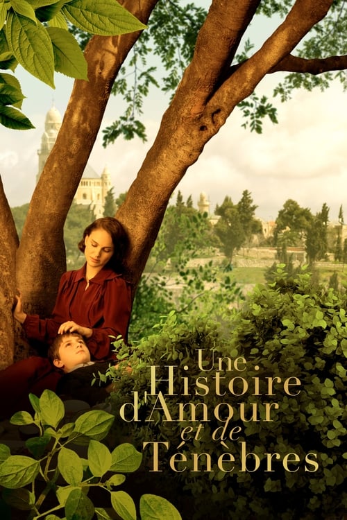 Jaquette Une histoire d'amour et de ténèbres