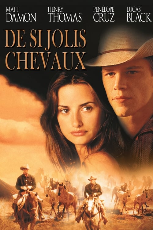 Jaquette De si jolis chevaux