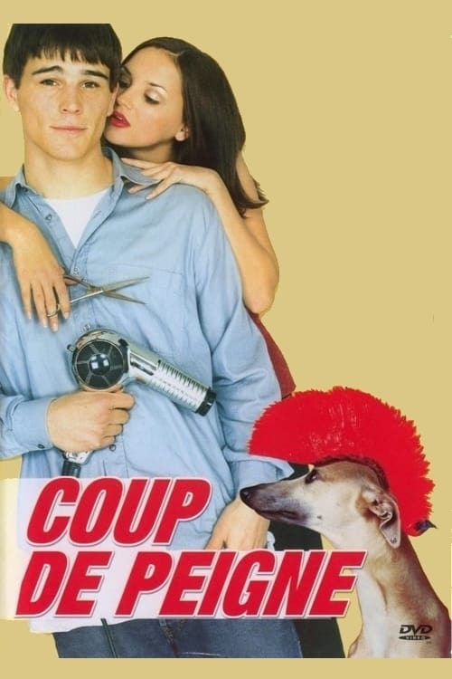 Jaquette Coup de peigne