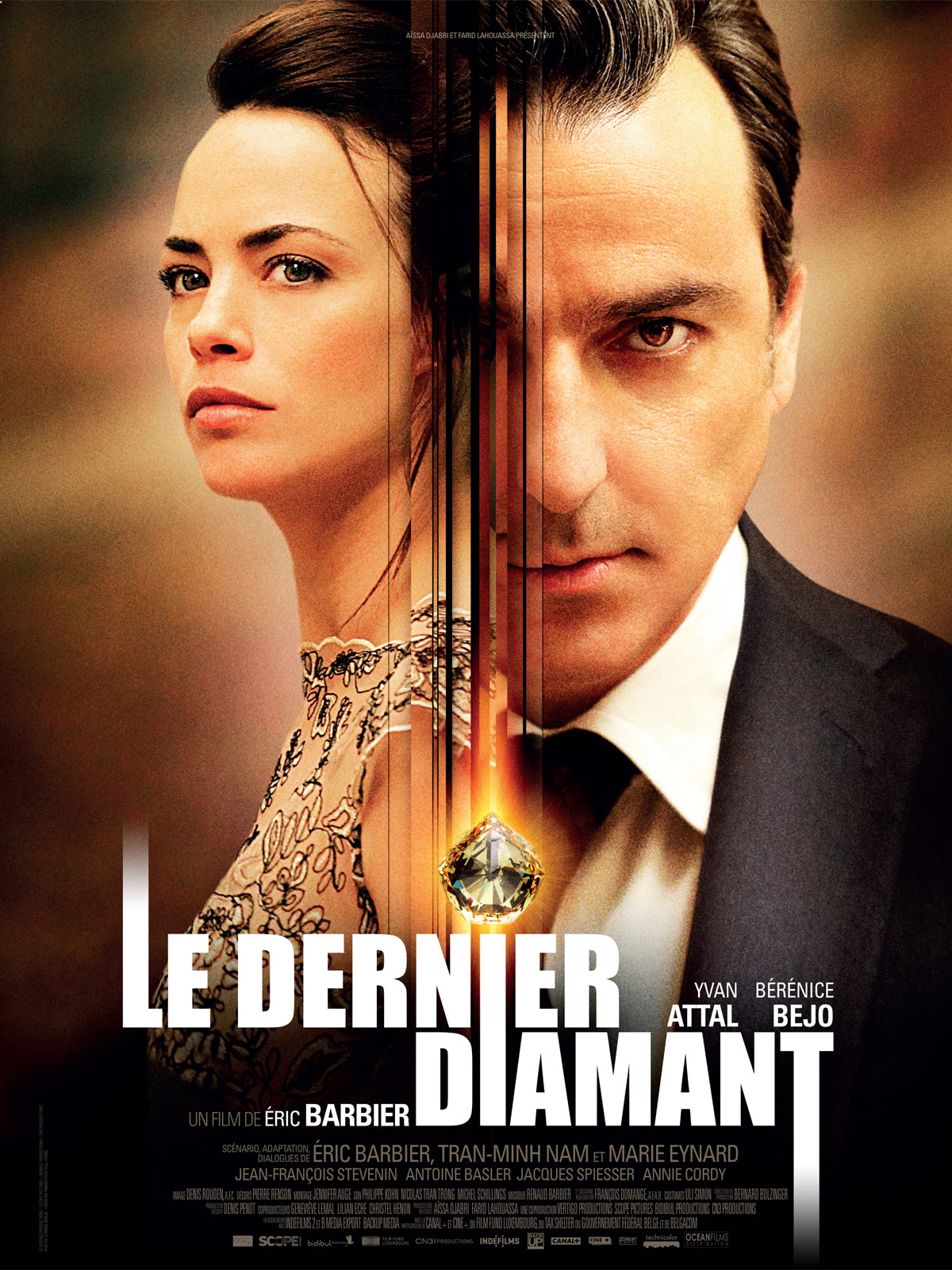 Jaquette Le Dernier Diamant