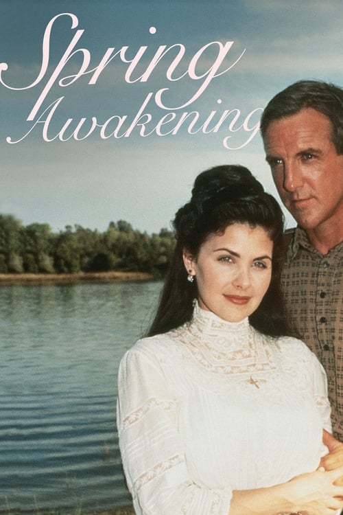 Jaquette Spring Awakening