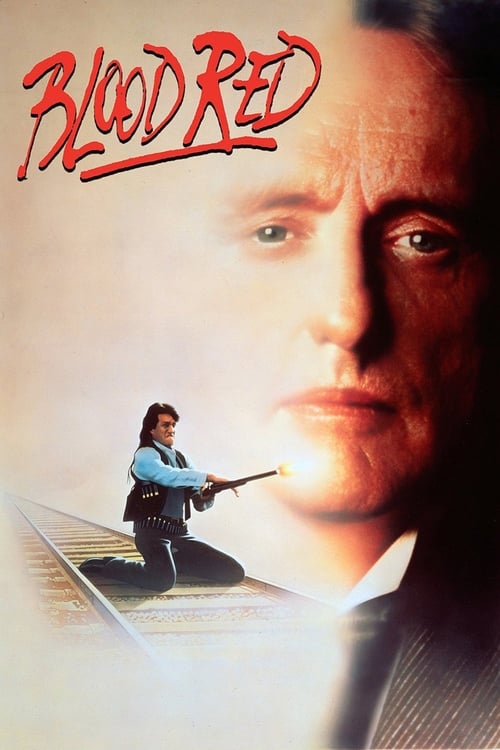Jaquette Un fusil pour l'honneur