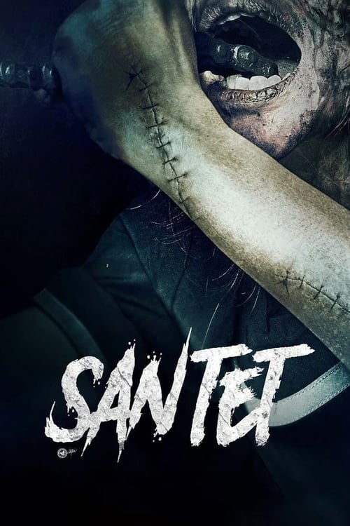 Jaquette Santet