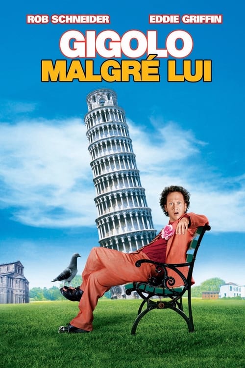 Jaquette Deuce Bigalow : Gigolo malgré lui