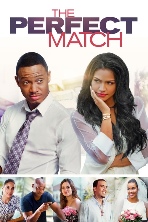 Jaquette The Perfect Match