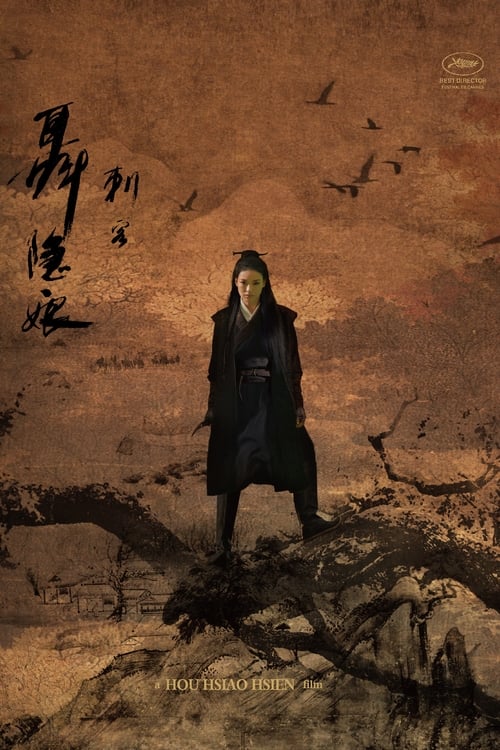 Jaquette The Assassin