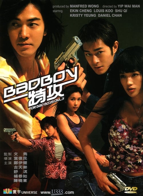 Jaquette BadBoy特攻