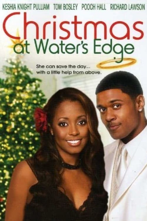 Jaquette Christmas at Water's Edge