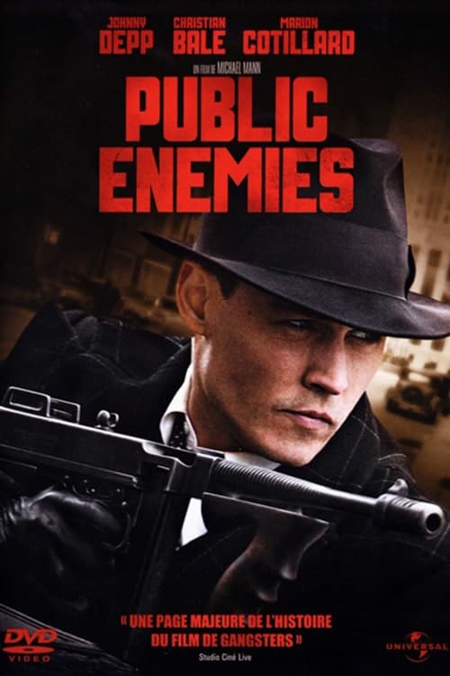 Jaquette Public Enemies