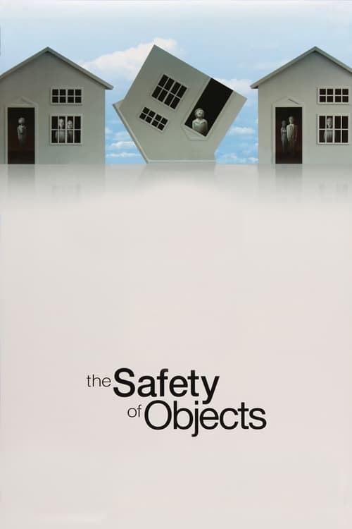 Jaquette The Safety of Objects