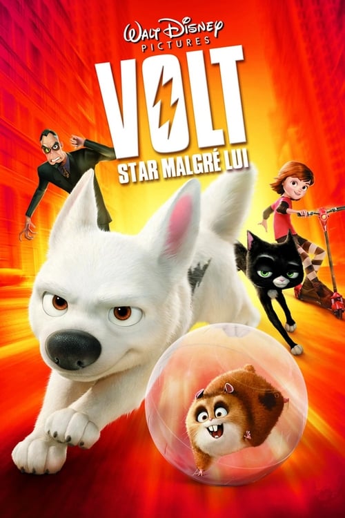Jaquette Volt, star malgré lui
