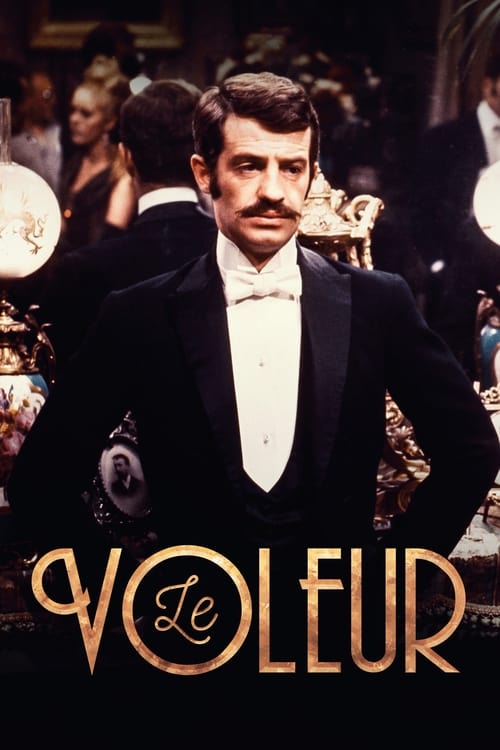Jaquette Le Voleur