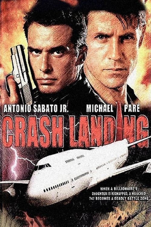 Jaquette Crash Landing