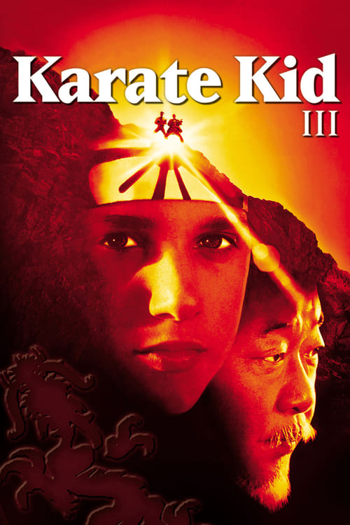 Jaquette Karaté Kid 3