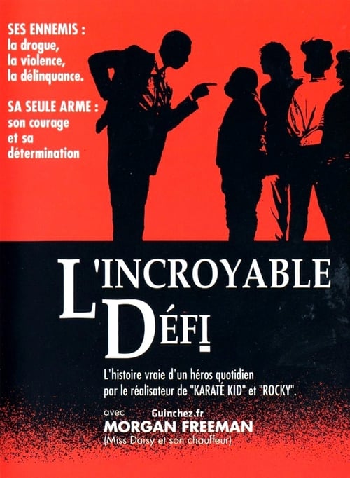 Jaquette L'Incroyable Défi