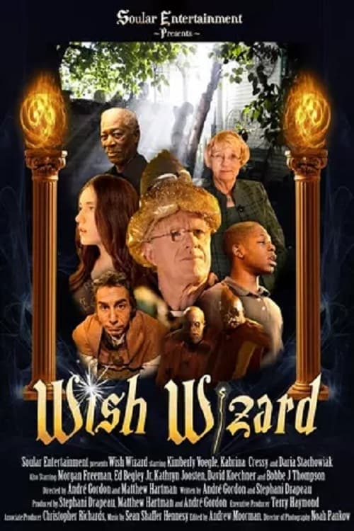 Jaquette Wish Wizard