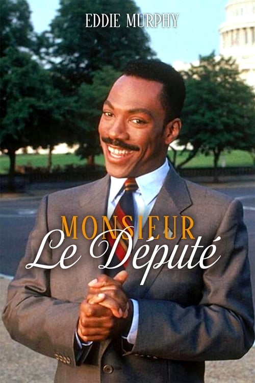 Jaquette Monsieur le député