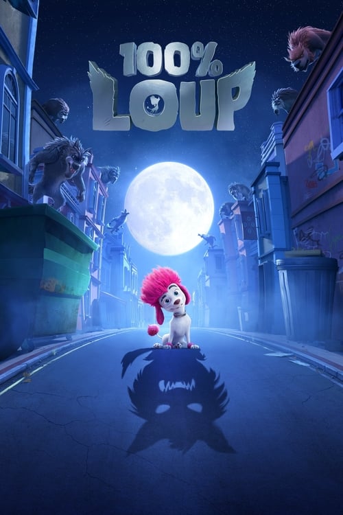 Jaquette 100% loup