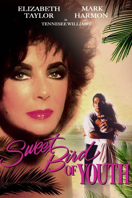 Jaquette Sweet Bird of Youth