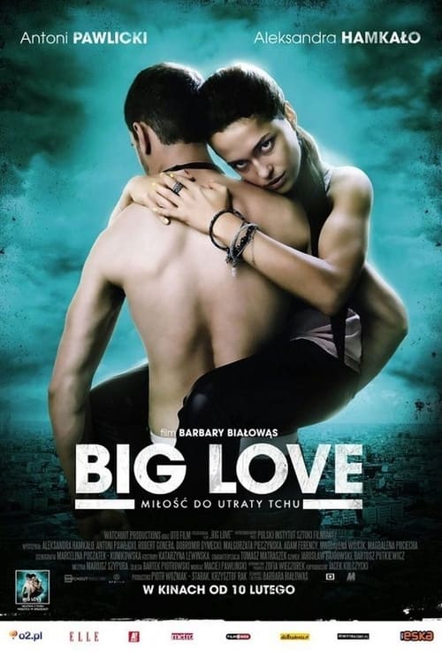 Jaquette Big Love