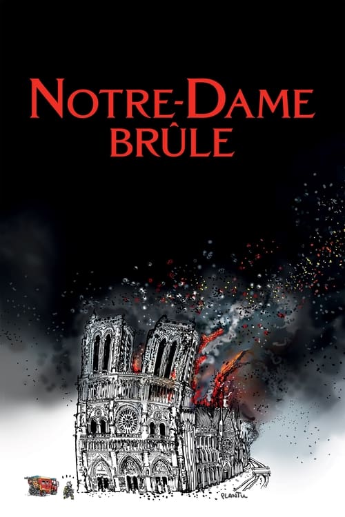 Jaquette Notre-Dame brûle