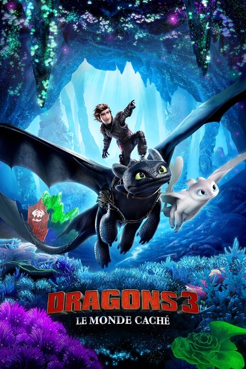Jaquette Dragons 3 : Le monde caché
