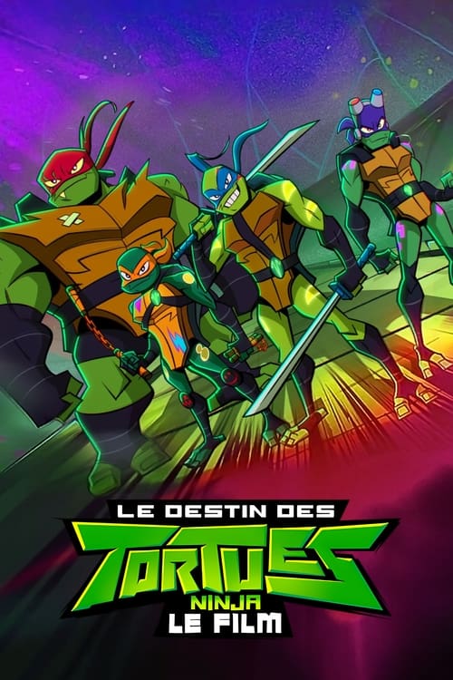 Jaquette Le Destin des Tortues Ninja : Le film